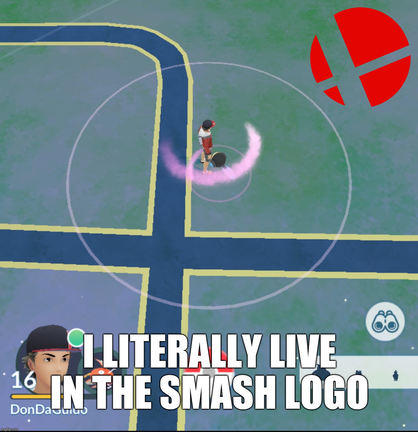 i'm the coolest ki-adult in town | I LITERALLY LIVE IN THE SMASH LOGO | image tagged in super smash bros,pokemon go,so i got that goin for me which is nice | made w/ Imgflip meme maker