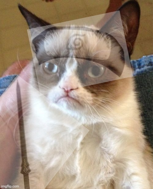 catruto | image tagged in memes,grumpy cat,naruto joke | made w/ Imgflip meme maker