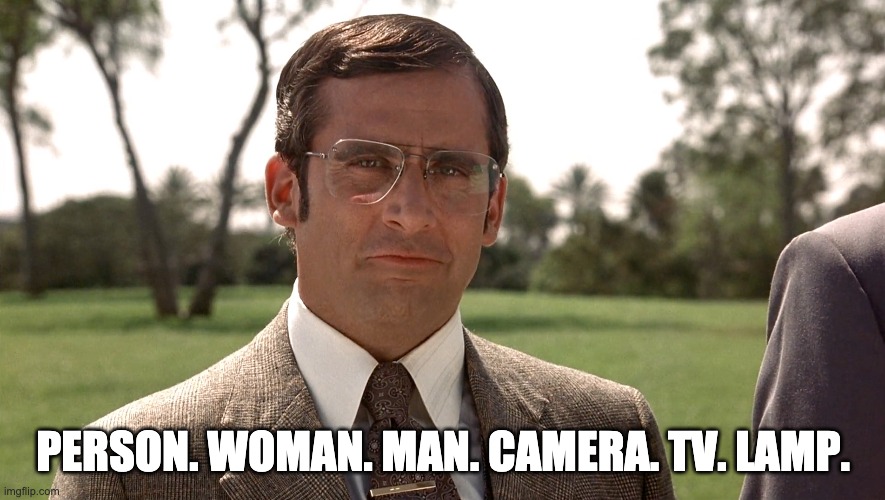 I Have a Very Good Brain |  PERSON. WOMAN. MAN. CAMERA. TV. LAMP. | image tagged in anchorman,brick tamland,trump,donald trump,dumbest man alive,republican | made w/ Imgflip meme maker