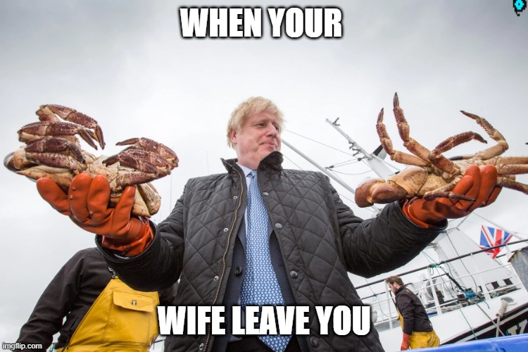 boris doesnt need anybody else | WHEN YOUR; WIFE LEAVE YOU | image tagged in boris johnson,crab | made w/ Imgflip meme maker