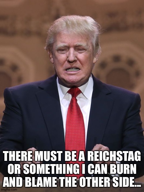 Donald Trump | THERE MUST BE A REICHSTAG OR SOMETHING I CAN BURN AND BLAME THE OTHER SIDE... | image tagged in donald trump | made w/ Imgflip meme maker