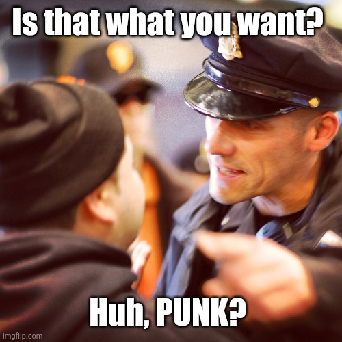 Angry Cop | Is that what you want? Huh, PUNK? | image tagged in angry cop | made w/ Imgflip meme maker