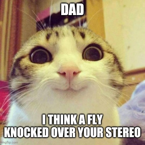 Smiling Cat | DAD; I THINK A FLY KNOCKED OVER YOUR STEREO | image tagged in memes,smiling cat | made w/ Imgflip meme maker