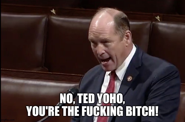 Yes, he is. | NO, TED YOHO, YOU'RE THE FUCKING BITCH! | image tagged in republican congressman ted yoho | made w/ Imgflip meme maker