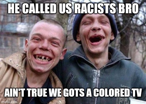 Ugly Twins | HE CALLED US RACISTS BRO; AIN'T TRUE WE GOTS A COLORED TV | image tagged in memes,ugly twins | made w/ Imgflip meme maker