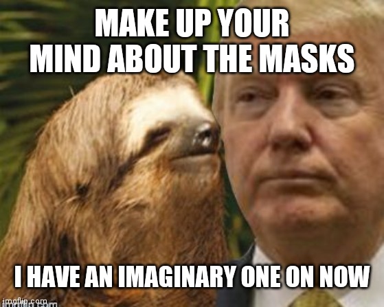 Political advice sloth | MAKE UP YOUR MIND ABOUT THE MASKS; I HAVE AN IMAGINARY ONE ON NOW | image tagged in political advice sloth | made w/ Imgflip meme maker