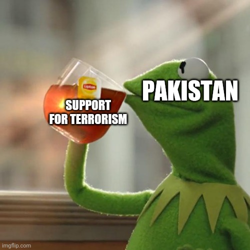 But That's None Of My Business | PAKISTAN; SUPPORT FOR TERRORISM | image tagged in memes,but that's none of my business,kermit the frog,pakistan,terrorism | made w/ Imgflip meme maker