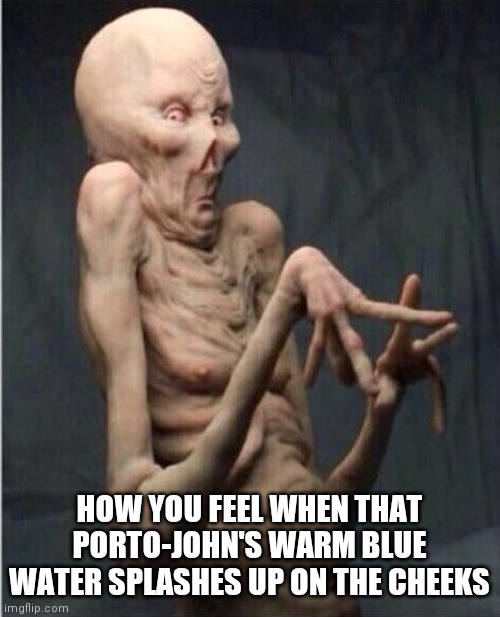 Grossed Out Alien | HOW YOU FEEL WHEN THAT PORTO-JOHN'S WARM BLUE WATER SPLASHES UP ON THE CHEEKS | image tagged in grossed out alien | made w/ Imgflip meme maker