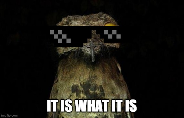 Weird Stuff I Do Potoo | IT IS WHAT IT IS | image tagged in memes,weird stuff i do potoo | made w/ Imgflip meme maker