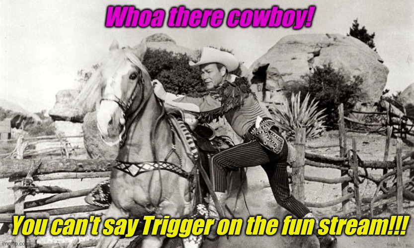 We're drawing the line somewhere. | Whoa there cowboy! You can't say Trigger on the fun stream!!! | image tagged in triggered | made w/ Imgflip meme maker