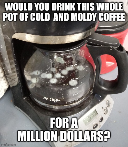 moldy coffee | WOULD YOU DRINK THIS WHOLE POT OF COLD  AND MOLDY COFFEE; FOR A MILLION DOLLARS? | image tagged in moldy coffee,coffee,moldy,yuck,gross,meme | made w/ Imgflip meme maker