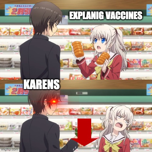 charlotte anime | EXPLANIG VACCINES; KARENS | image tagged in charlotte anime | made w/ Imgflip meme maker
