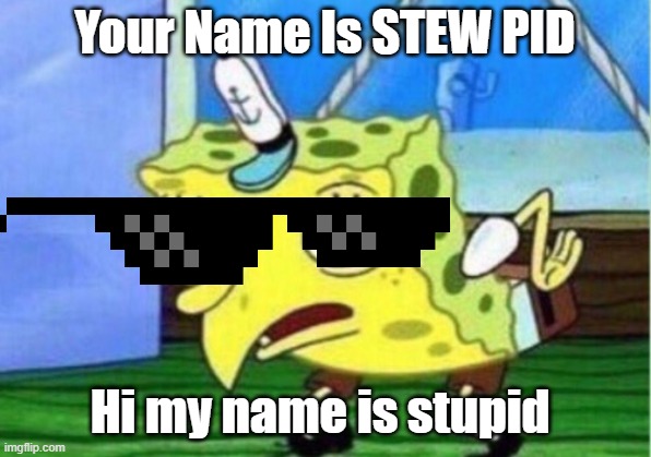 Mocking Spongebob Meme | Your Name Is STEW PID; Hi my name is stupid | image tagged in memes,mocking spongebob | made w/ Imgflip meme maker