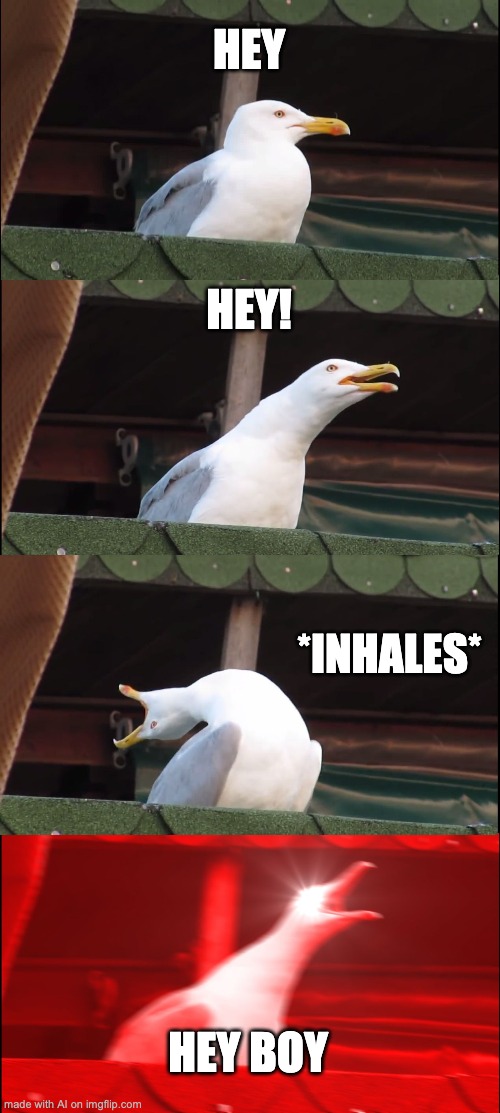 Hey boy (AI generated) | HEY; HEY! *INHALES*; HEY BOY | image tagged in memes,inhaling seagull | made w/ Imgflip meme maker