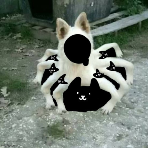 Undertale Cursed Image: wOof | image tagged in memes,funny,dogs,undertale,abomination,cursed image | made w/ Imgflip meme maker