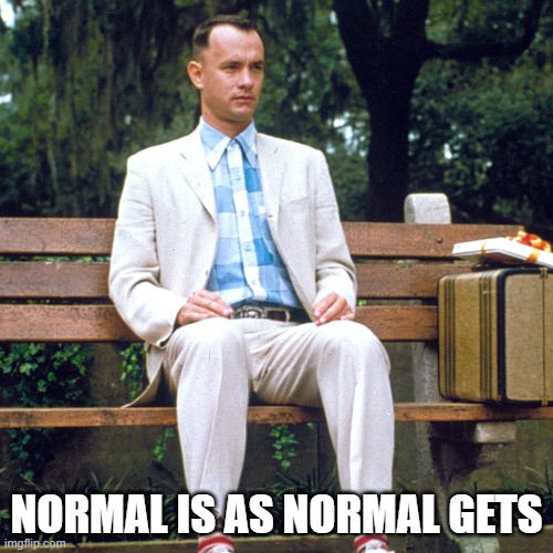 Normal Is | NORMAL IS AS NORMAL GETS | image tagged in fun | made w/ Imgflip meme maker