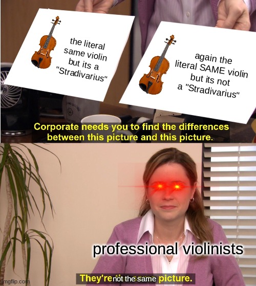those people | the literal same violin but its a "Stradivarius"; again the literal SAME violin but its not a "Stradivarius"; professional violinists; not the same | image tagged in memes,they're the same picture | made w/ Imgflip meme maker