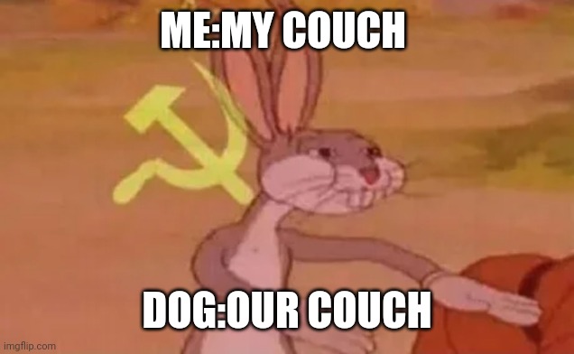 Bugs bunny communist | ME:MY COUCH; DOG:OUR COUCH | image tagged in bugs bunny communist | made w/ Imgflip meme maker