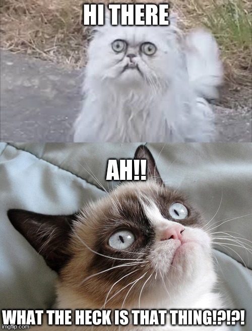 that is one ugly cat | image tagged in grumpy cat,ugly | made w/ Imgflip meme maker