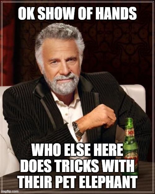 The Most Interesting Man In The World Meme | OK SHOW OF HANDS WHO ELSE HERE DOES TRICKS WITH THEIR PET ELEPHANT | image tagged in memes,the most interesting man in the world | made w/ Imgflip meme maker