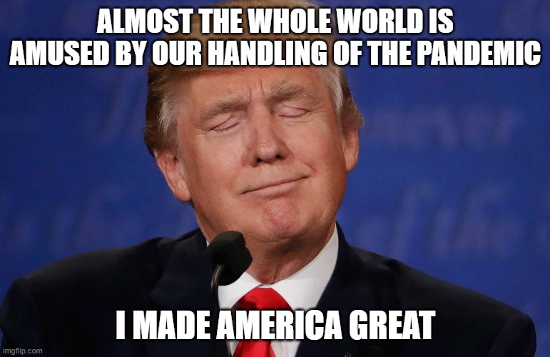 ALMOST THE WHOLE WORLD IS AMUSED BY OUR HANDLING OF THE PANDEMIC; I MADE AMERICA GREAT | image tagged in donald trump,covid-19,usa | made w/ Imgflip meme maker