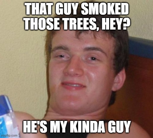 10 Guy Meme | THAT GUY SMOKED THOSE TREES, HEY? HE'S MY KINDA GUY | image tagged in memes,10 guy | made w/ Imgflip meme maker