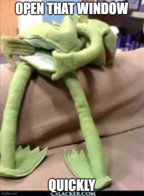 Gay kermit | OPEN THAT WINDOW QUICKLY | image tagged in gay kermit | made w/ Imgflip meme maker