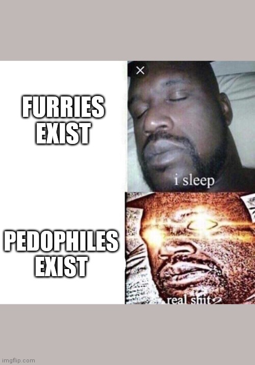 i sleep real shit | FURRIES EXIST; PEDOPHILES EXIST | image tagged in i sleep real shit | made w/ Imgflip meme maker