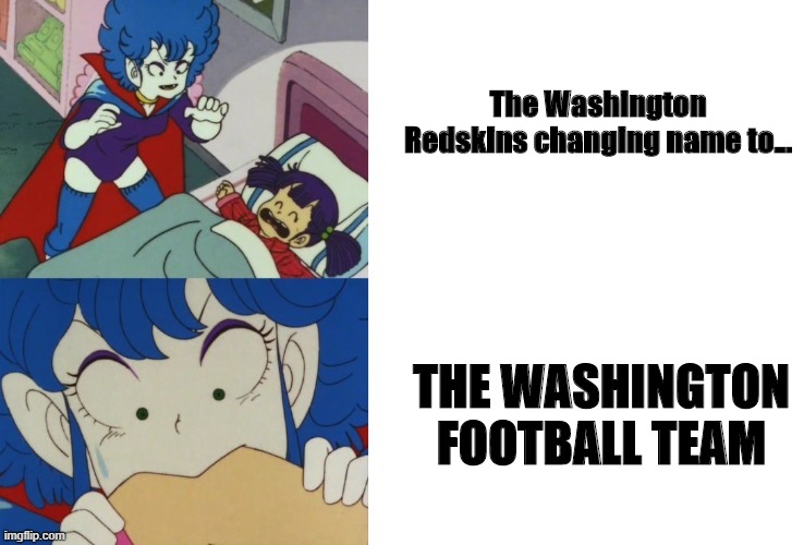 Washington Football Team | The Washington Redskins changing name to... THE WASHINGTON FOOTBALL TEAM | image tagged in redskins,nfl,football,washington redskins | made w/ Imgflip meme maker