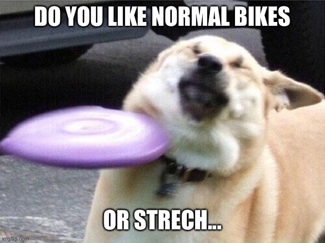 Dog hit by frisbee | DO YOU LIKE NORMAL BIKES; OR STRECH... | image tagged in dog hit by frisbee | made w/ Imgflip meme maker