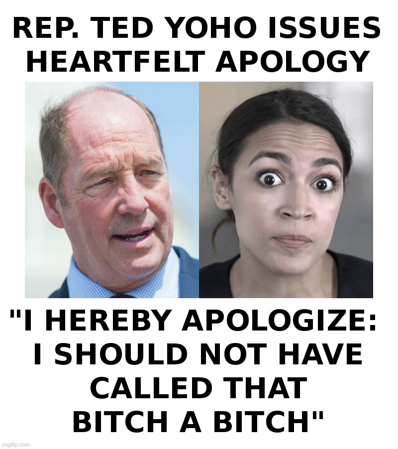 Rep. Ted Yoho Issues Heartfelt Apology | image tagged in ted yoho,aoc,alexandria ocasio-cortez,bitch slap,apology,needs more cowbell | made w/ Imgflip meme maker