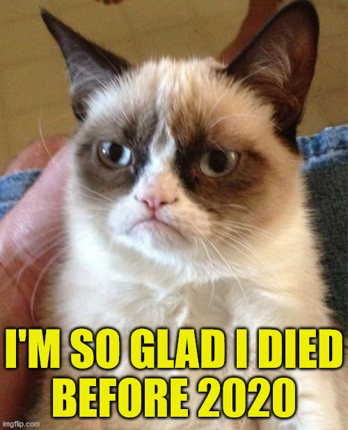 Grumpy Cat | I'M SO GLAD I DIED
BEFORE 2020 | image tagged in memes,grumpy cat,2020,but i died,stairway to heaven,spongebob ight imma head out | made w/ Imgflip meme maker