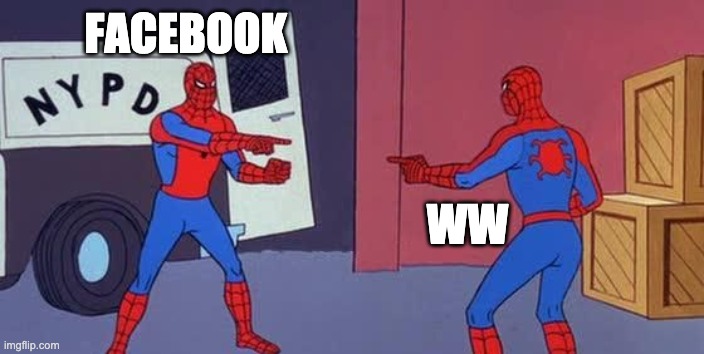 Spider Man Double | FACEBOOK; WW | image tagged in spider man double | made w/ Imgflip meme maker