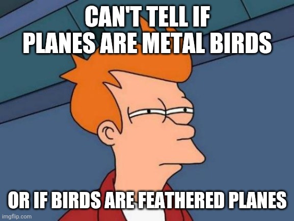 Futurama Fry | CAN'T TELL IF PLANES ARE METAL BIRDS; OR IF BIRDS ARE FEATHERED PLANES | image tagged in memes,futurama fry | made w/ Imgflip meme maker