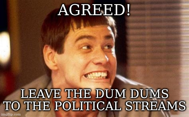 Jim | AGREED! LEAVE THE DUM DUMS TO THE POLITICAL STREAMS | image tagged in jim | made w/ Imgflip meme maker