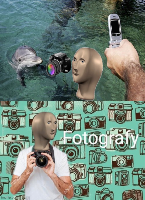 Taking pictures of the dolphin | image tagged in dolphin,dolphins,memes,meme,photographer,meme man | made w/ Imgflip meme maker