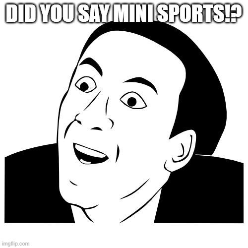 you don't say | DID YOU SAY MINI SPORTS!? | image tagged in you don't say | made w/ Imgflip meme maker