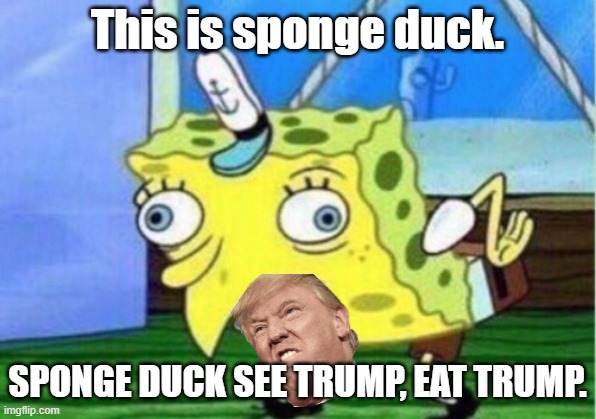 Sponge duck | This is sponge duck. SPONGE DUCK SEE TRUMP, EAT TRUMP. | image tagged in memes,mocking spongebob | made w/ Imgflip meme maker