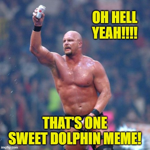 Stone Cold Steve Austin | OH HELL YEAH!!!! THAT'S ONE SWEET DOLPHIN MEME! | image tagged in stone cold steve austin | made w/ Imgflip meme maker