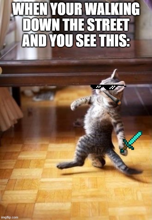 cat meme #2 | WHEN YOUR WALKING DOWN THE STREET AND YOU SEE THIS: | image tagged in memes,cool cat stroll | made w/ Imgflip meme maker