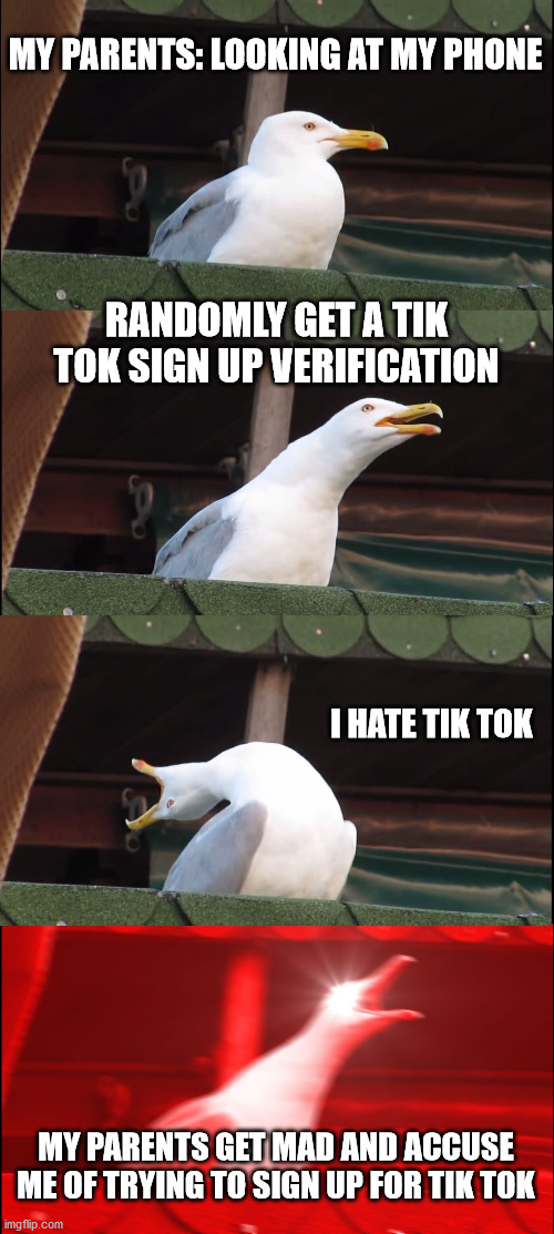 its all your fault tik tok | MY PARENTS: LOOKING AT MY PHONE; RANDOMLY GET A TIK TOK SIGN UP VERIFICATION; I HATE TIK TOK; MY PARENTS GET MAD AND ACCUSE ME OF TRYING TO SIGN UP FOR TIK TOK | image tagged in memes,inhaling seagull,tik tok,accuse,phone,parents | made w/ Imgflip meme maker