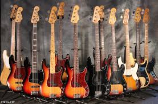 Bass guitars | image tagged in bass guitars | made w/ Imgflip meme maker