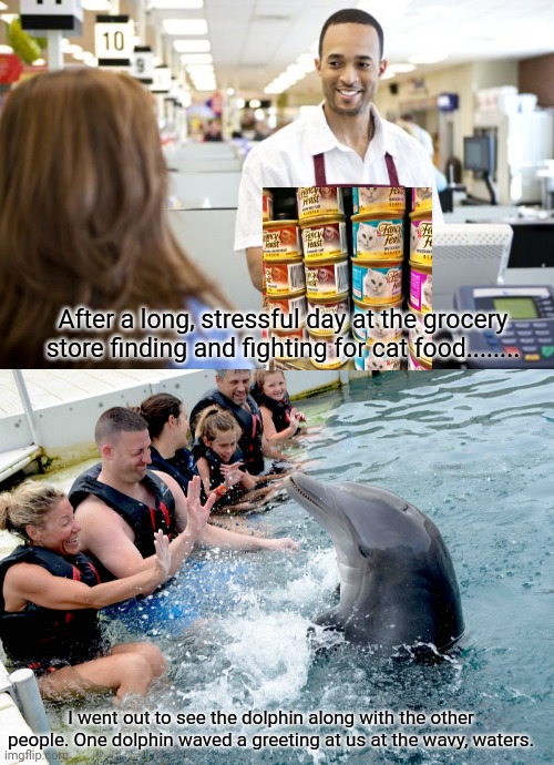 Cat food and dolphins | After a long, stressful day at the grocery store finding and fighting for cat food........ I went out to see the dolphin along with the other people. One dolphin waved a greeting at us at the wavy, waters. | image tagged in grocery stores be like,dolphin,memes,meme,cat food,dolphins | made w/ Imgflip meme maker
