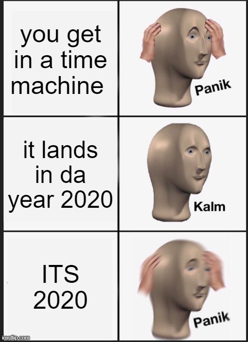 2020!! | you get in a time machine; it lands in da year 2020; ITS 2020 | image tagged in memes,panik kalm panik | made w/ Imgflip meme maker