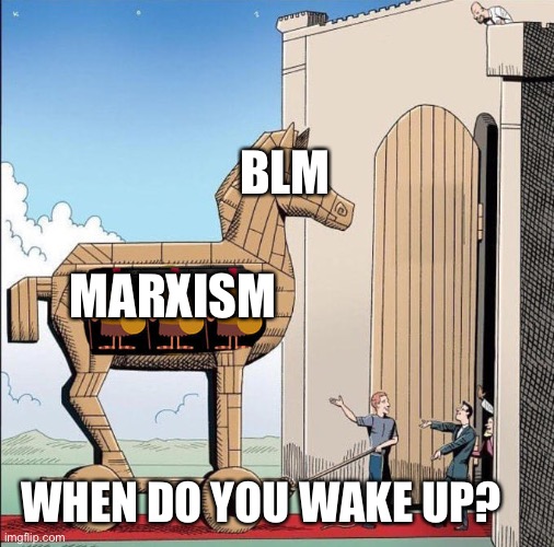 Trojan Horse | BLM; MARXISM; WHEN DO YOU WAKE UP? | image tagged in trojan horse | made w/ Imgflip meme maker