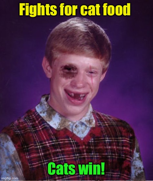 Beat-up Bad Luck Brian | Fights for cat food Cats win! | image tagged in beat-up bad luck brian | made w/ Imgflip meme maker