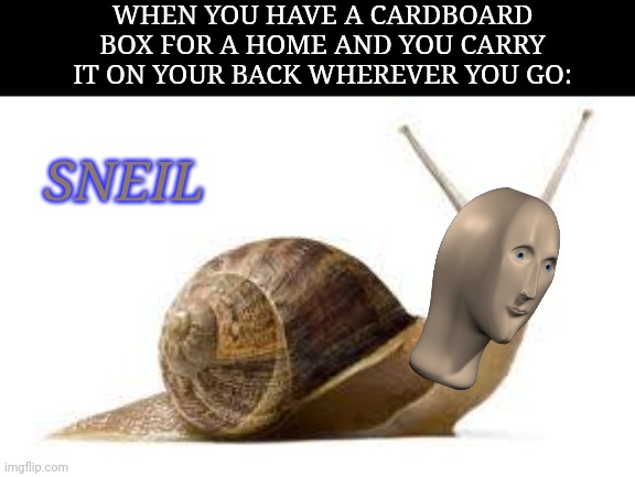 SNAIL | WHEN YOU HAVE A CARDBOARD BOX FOR A HOME AND YOU CARRY IT ON YOUR BACK WHEREVER YOU GO:; SNEIL | image tagged in snail,meme man,homeless cardboard | made w/ Imgflip meme maker