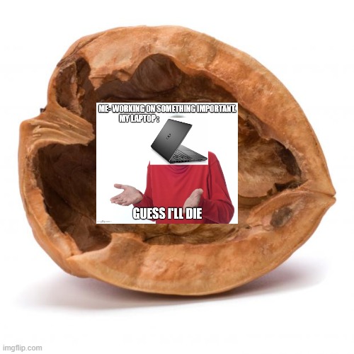 Nutshell | image tagged in nutshell | made w/ Imgflip meme maker