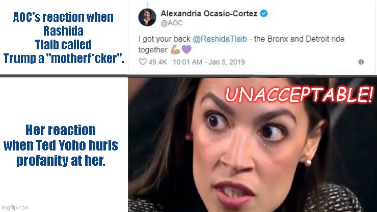 AOC unaware of what goes around, comes around | AOC's reaction when
Rashida Tlaib called
Trump a "motherf*cker". UNACCEPTABLE! Her reaction when Ted Yoho hurls profanity at her. | image tagged in alexandria ocasio-cortez,aoc,hypocrite,bronx princess,ted yoho,what goes around comes around | made w/ Imgflip meme maker