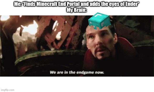 You know you're in the endgame once this happens. | Me: *Finds Minecraft End Portal and adds the eyes of Ender*
My Brain: | image tagged in we're in the endgame now | made w/ Imgflip meme maker